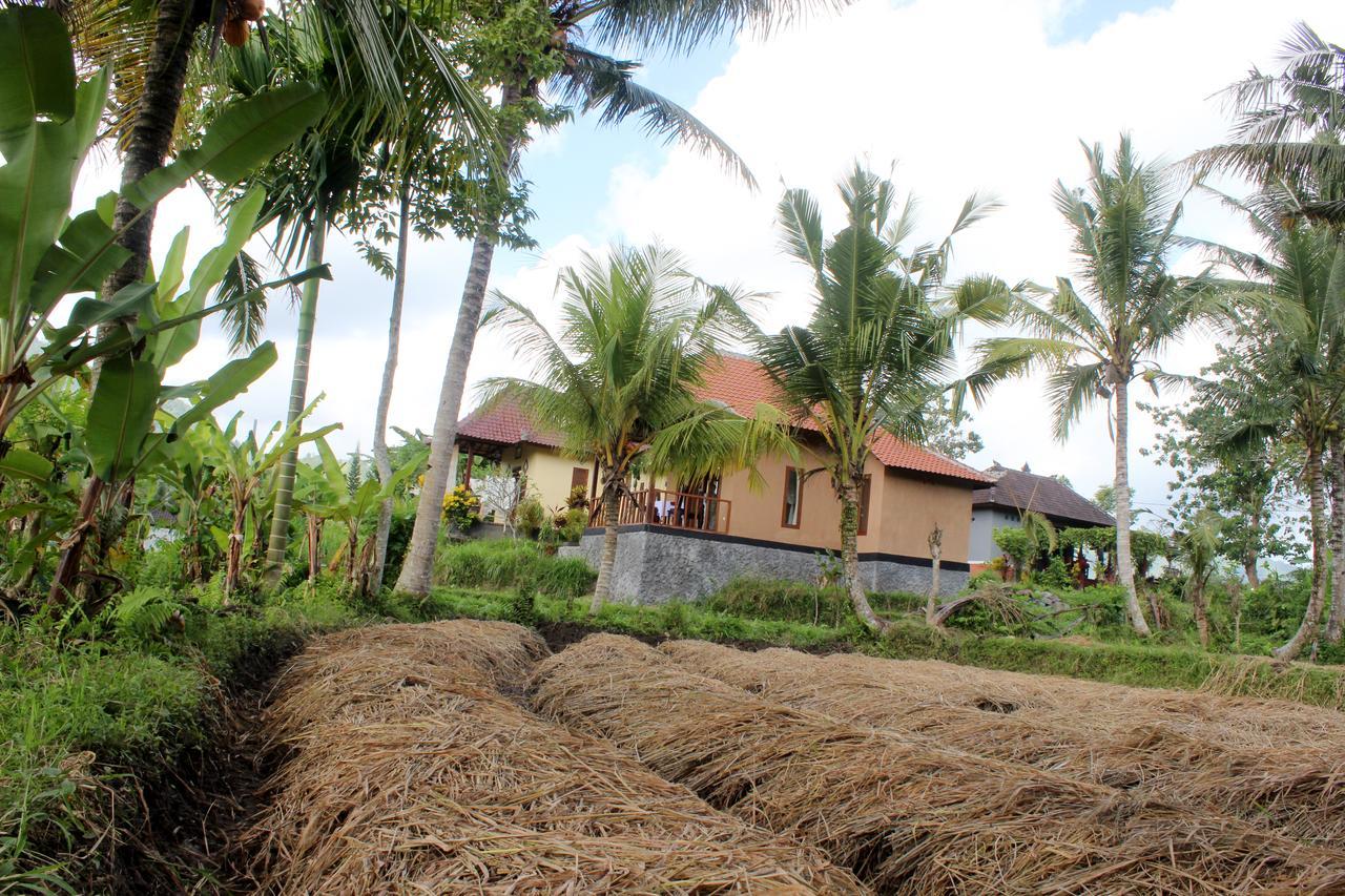 Maha Neka Villa Sidemen  Exterior photo